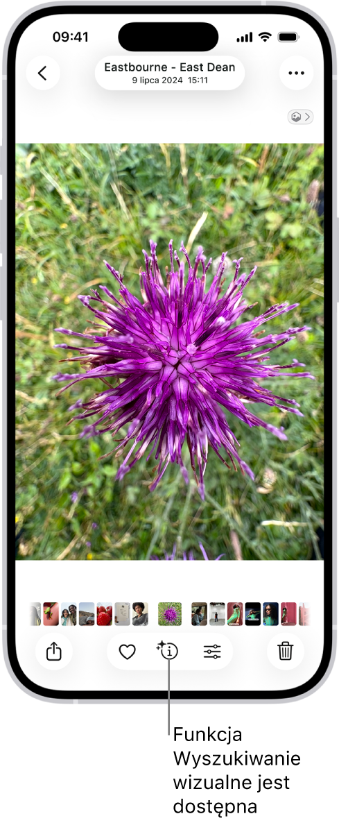 Zdjęcie w aplikacji Zdjęcia. Na dole ekranu widoczny jest przycisk Informacje z oznaczeniem, że dostępne są informacje funkcji wyszukiwania wizualnego.