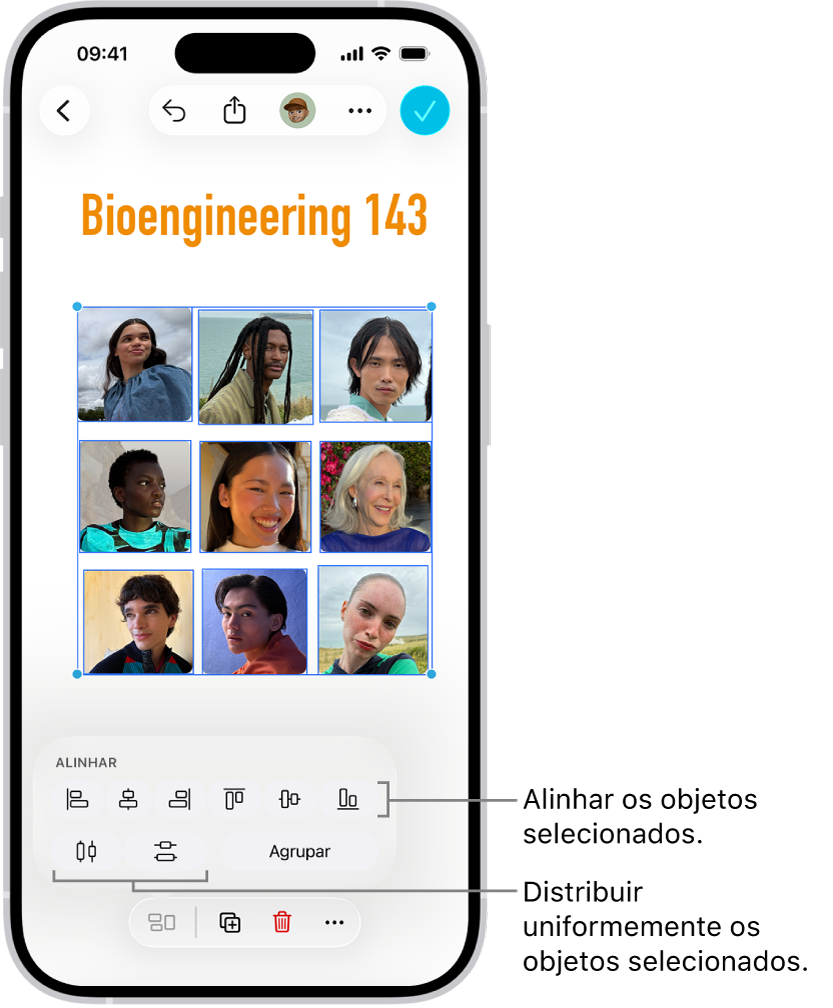 Um quadro do Freeform com uma grelha de fotografias. Estão selecionadas várias fotografias e as ferramentas de alinhamento e agrupamento estão visíveis por cima.