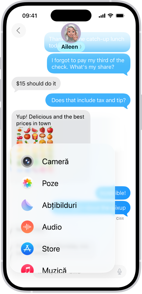 O listă de funcționalități care apare după apăsarea butonului Adăugați într-o conversație din Mesaje.