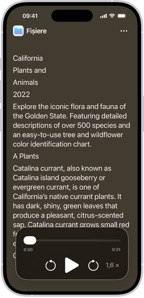 Ecranul „Cititor accesibilitate” afișând text din Fișiere afișat cu text mare pe un fundal negru.