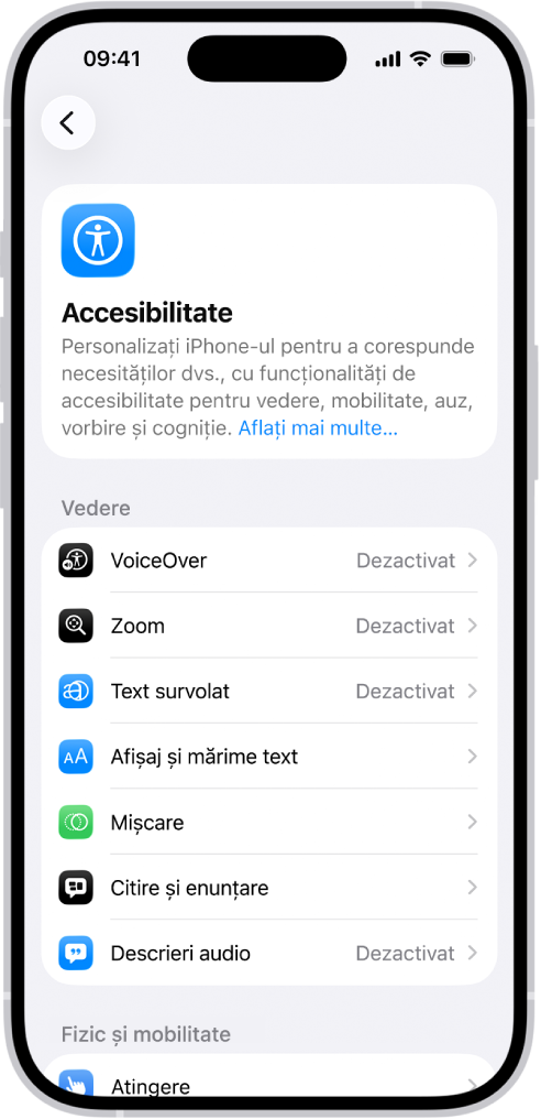 Ecranul Accesibilitate din Configurări afișând funcționalități integrate pentru vedere.