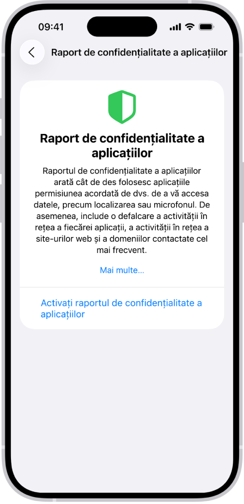 Un raport de confidențialitate a aplicațiilor care prezintă informații despre aplicații pentru categoria Acces la date și senzori și informații despre aplicații pentru categoria Activitate în rețea a aplicațiilor.