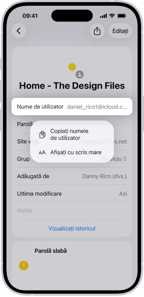 Ecranul unui cont afișând numele de utilizator evidențiat, cu opțiunile Copiați numele de utilizator și Afișați cu scris mare.