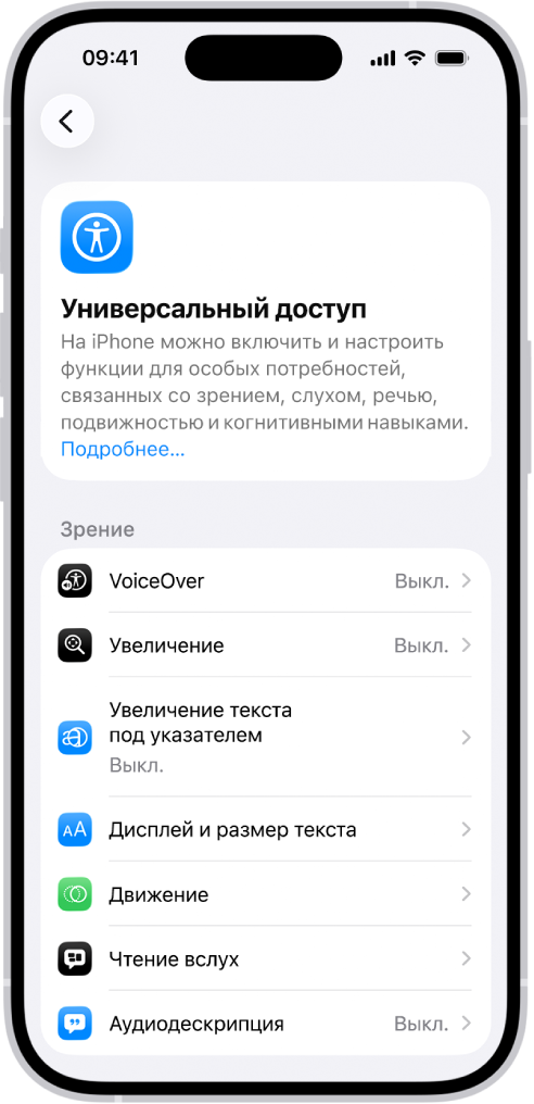 На экране Универсального доступа в Настройках отображаются встроенные функции для пользователей с нарушениями зрения.