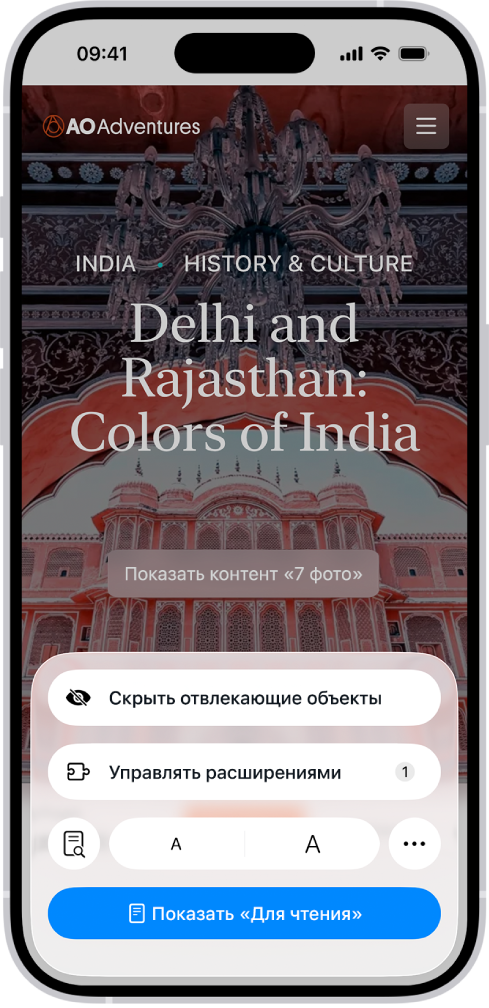 В Safari на сайте выбрана кнопка «Меню страницы»; внизу экрана отображаются доступные параметры, включая «Управлять расширениями».