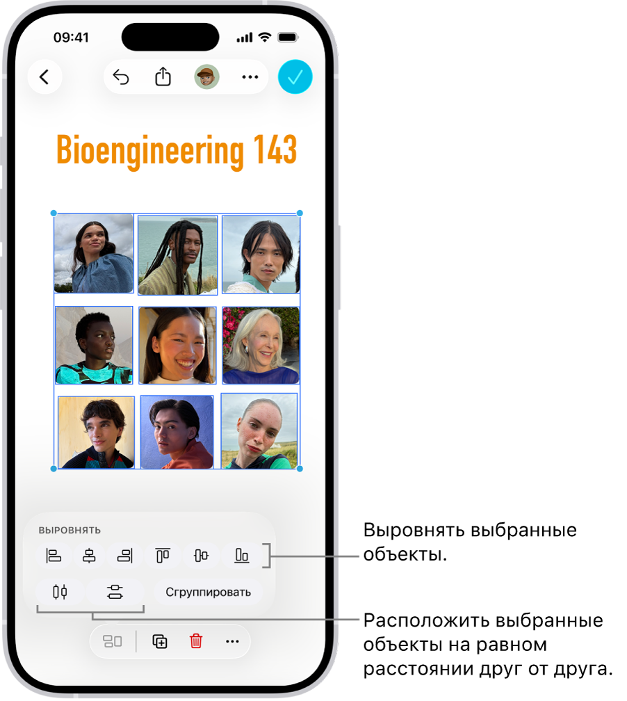 На доске Freeform показана сетка с фотографиями. Выбрано несколько фото. Над ними отображаются инструменты выравнивания и группирования.