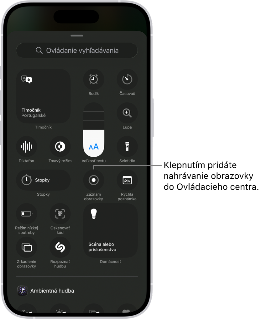 Obrazovka s ovládacími prvkami, ktoré môžete pridať do Ovládacieho centra. Ovládací prvok Záznam obrazovky sa nachádza približne v strede.