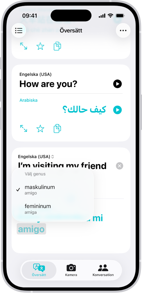 Fliken Översättning visar en översatt fras från engelska till spanska och ett ord som är markerat i grått med olika könsvariationer nedanför.