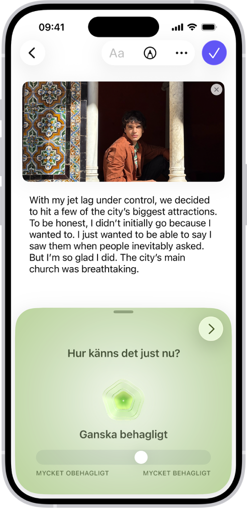 En skärm i appen Dagbok visar ett inlägg med ett avsnitt längst ned där du kan logga ditt sinnestillstånd.