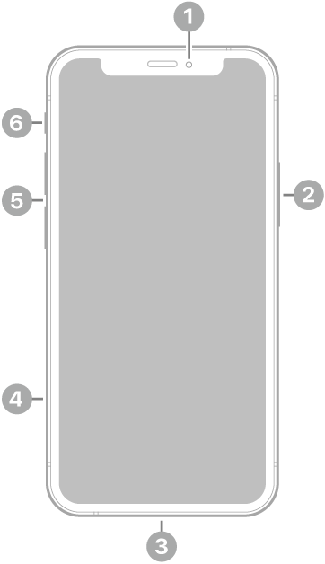 iPhone 12 mini ఫ్రంట్ వ్యూ. ఎగువ మధ్యలో ఉన్న ఫ్రంట్ కెమెరా. కుడి వైపున ఉన్న సైడ్ బటన్. దిగువన ఉన్న Lightning కనెక్టర్. ఎడమ వైపున, దిగువ నుండి ఎగువ వరకు ఉన్న SIM ట్రే, వాల్యూమ్ బటన్‌లు, రింగ్/సైలెంట్ స్విచ్.