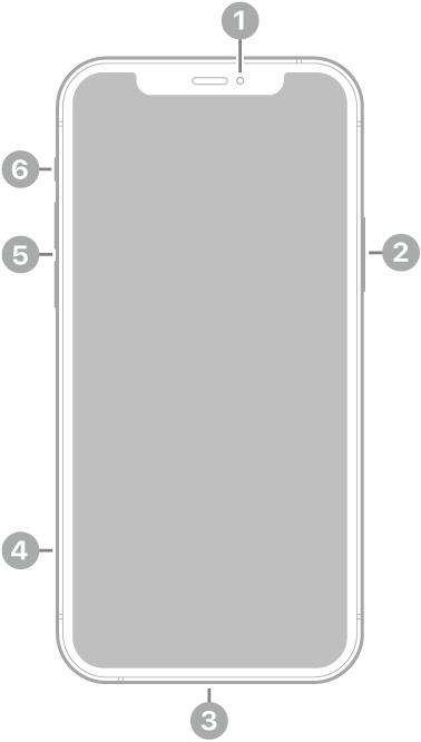 iPhone 12 Pro ఫ్రంట్ వ్యూ. ఎగువ మధ్యలో ఉన్న ఫ్రంట్ కెమెరా. కుడి వైపున ఉన్న సైడ్ బటన్. దిగువన ఉన్న Lightning కనెక్టర్. ఎడమ వైపున, దిగువ నుండి ఎగువ వరకు ఉన్న SIM ట్రే, వాల్యూమ్ బటన్‌లు, రింగ్/సైలెంట్ స్విచ్.