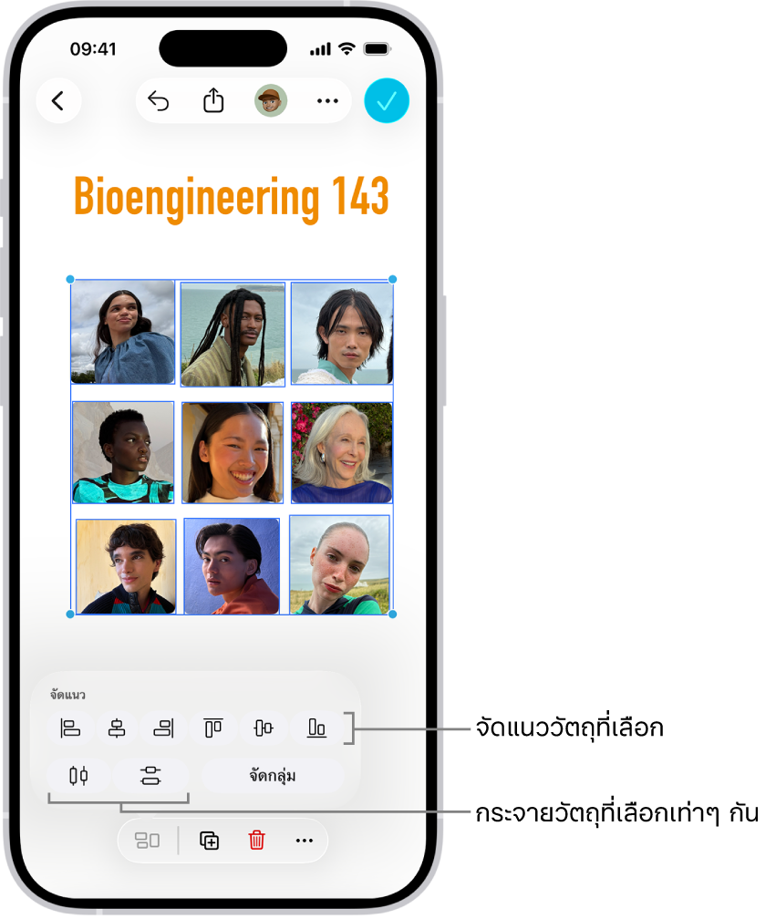 บอร์ด Freeform ที่เติมเต็มด้วยตารางของรูปภาพ รูปภาพหลายรูปถูกเลือก และเครื่องมือการจัดแนวและเครื่องมือการจัดกลุ่มแสดงขึ้นเหนือรูปภาพ