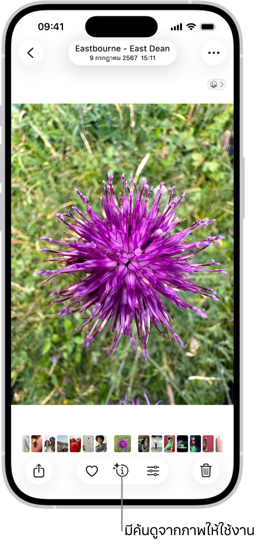 รูปภาพเปิดอยู่ในคลังในแอปรูปภาพ ด้านล่างสุดของหน้าจอมีปุ่มข้อมูลแสดงไอคอนที่ระบุว่ามีข้อมูลการค้นดูจากภาพ