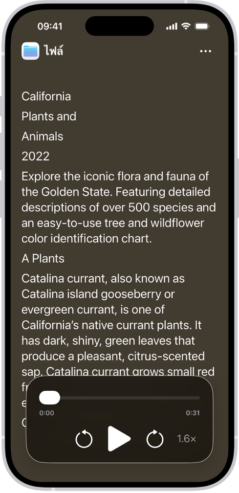 หน้าจอตัวอ่านการช่วยการเข้าถึงที่แสดงข้อความจากไฟล์จะแสดงด้วยข้อความที่มีขนาดใหญ่บนพื้นหลังสีดำ