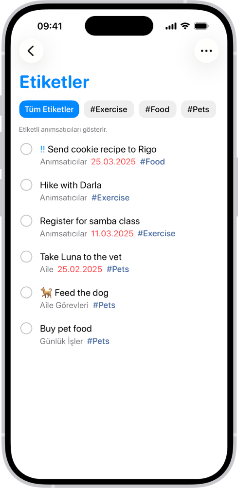 Anımsatıcılar uygulamasında etiketli anımsatıcılar listesi. En üstteki düğmeler, uygulayabileceğiniz ek etiketleri gösteriyor.