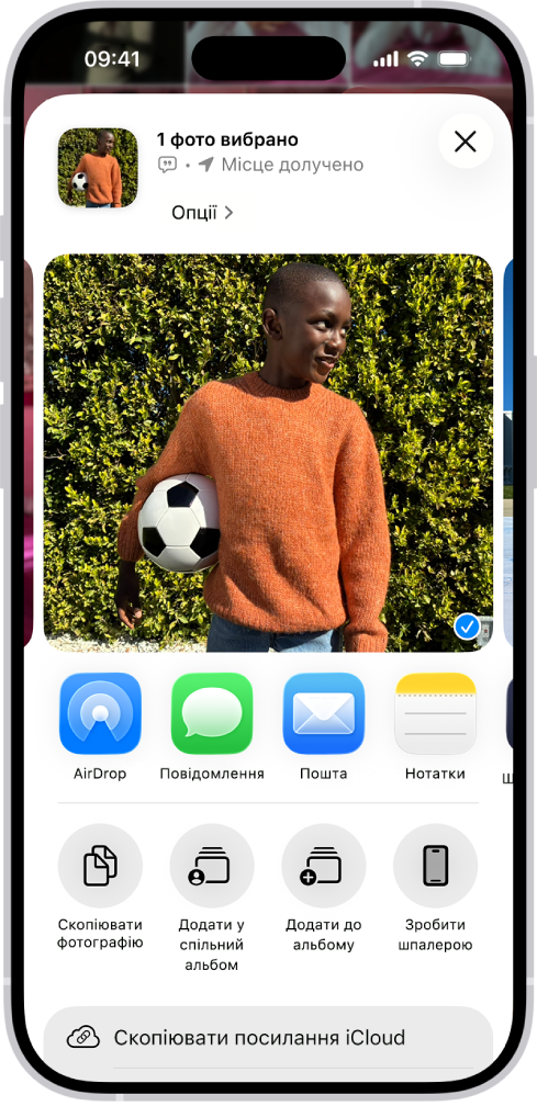 Вибрана фотографія відображається у верхній половині екрана iPhone, а рядок з опціями поширення — під нею. Під ними відображаються додаткові опції, зокрема «Скопіювати фотографію», «Додати до спільного альбому», «Додати до альбому» та «Зробити шпалерою».