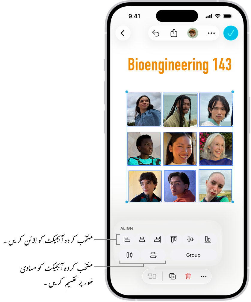 تصاویر کے گرڈ سے بھرا ہوا Freeform بورڈ۔ منتخب شدہ کئی تصاویر اور ان کے اوپر ظاہر ہوتے الائنمنٹ اور گروپنگ ٹول۔