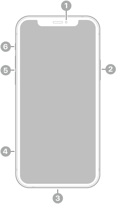 ‏⁨iPhone 12⁩ کا سامنے کا ویو۔ سامنے کا کیمرا سب سے اوپر وسط میں ہے۔ سائیڈ بٹن دائیں طرف موجود ہے۔ ‏Lightning کنکٹر نیچے کی طرف ہے۔ بائیں طرف نیچے سے اوپر تک SIM ٹرے، والیوم بٹن اور رِنگ/خاموش سوئچ ہیں۔