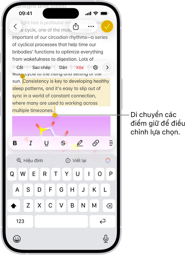 Văn bản được chọn trong một ghi chú trong ứng dụng Ghi chú. Phía trên văn bản được chọn là các nút Cắt, Sao chép, Dán và Tự động điền. Văn bản đã chọn được tô sáng, với các điểm giữ để điều chỉnh phần lựa chọn ở một trong hai đầu.