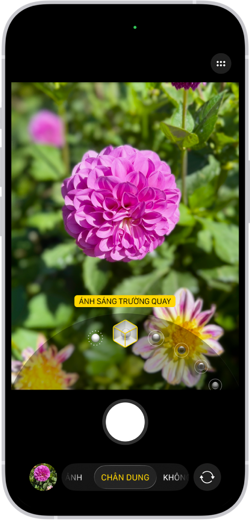 Màn hình Camera ở chế độ Chân dung; trong kính ngắm, chủ thể sắc nét và nền được làm mờ. Đĩa số để chọn hiệu ứng Chiếu sáng chân dung được mở ở cuối khung hình và Chiếu sáng trường quay được chọn.