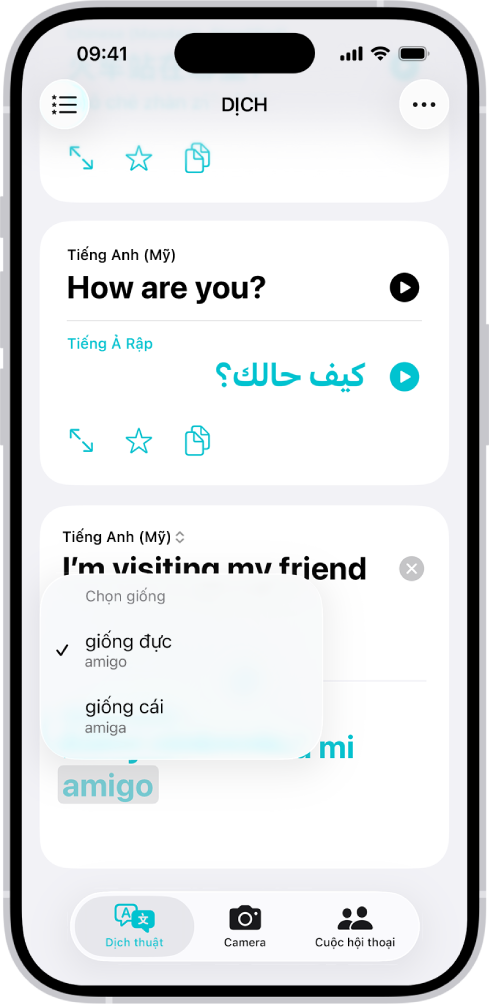Tab Bản dịch, đang hiển thị một cụm từ được dịch từ Tiếng Anh sang Tiếng Tây Ban Nha, và một từ được tô sáng bằng màu xám có biến thể khác nhau theo giống được liệt kê bên dưới.