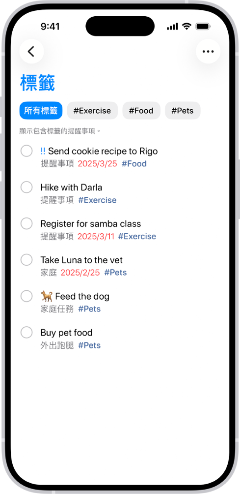 「提醒事項」App 中顯示一份已加上標籤的提醒事項。上方按鈕顯示可以套用的其他標籤。