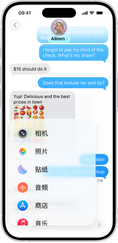在“信息”对话中轻点“添加”按钮后出现的功能列表。