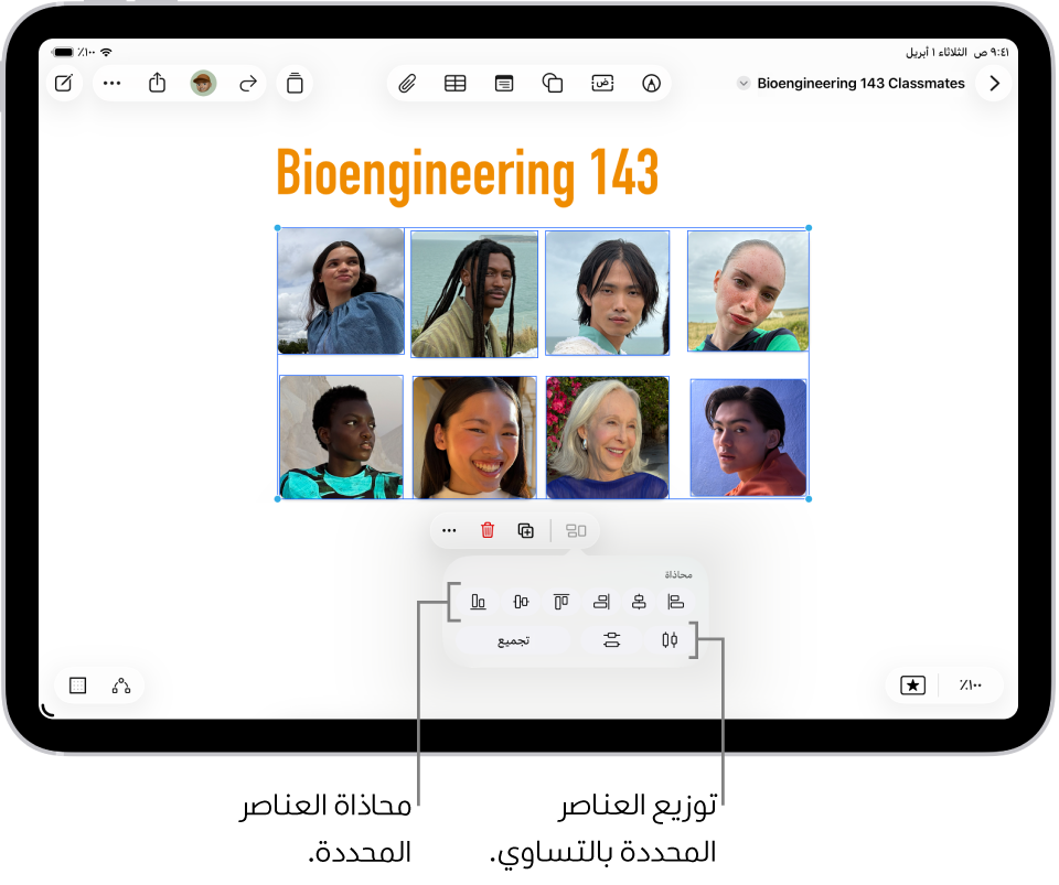 لوحة في تطبيق المساحة الحرة تملؤها عدة صور في شبكة. صور متعددة محددة، وتظهر أدوات المحاذاة والتجميع أسفلها.