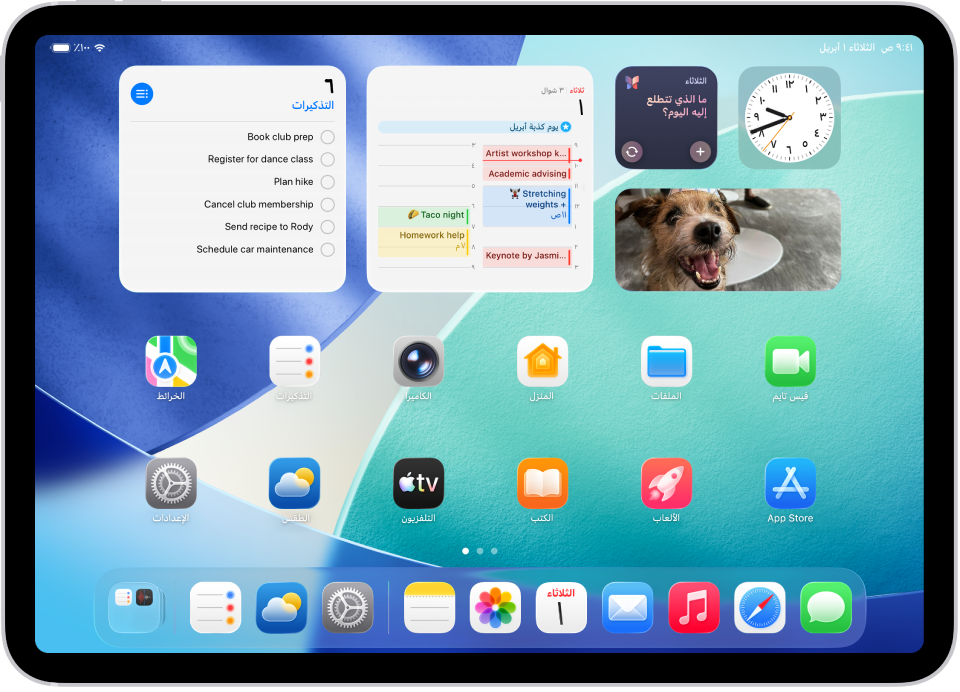 لقطة شاشة تعرض مثالًا للشاشة الرئيسية لـ iPad.