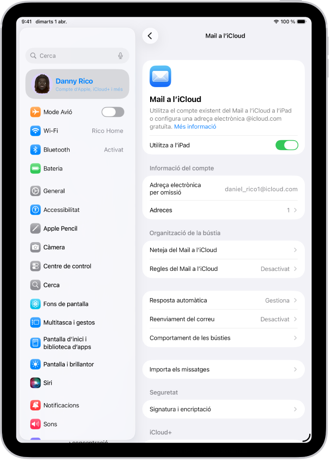 L’app Configuració, oberta per la pantalla “Mail a l’iCloud”. “Domini de correu personalitzat” es troba a la part inferior del menú.
