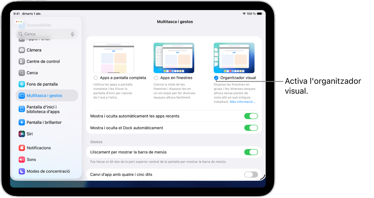 L’app Configuració de l’iPad mostra les opcions de multitasca i gestos que pots seleccionar per treballar amb diverses apps.