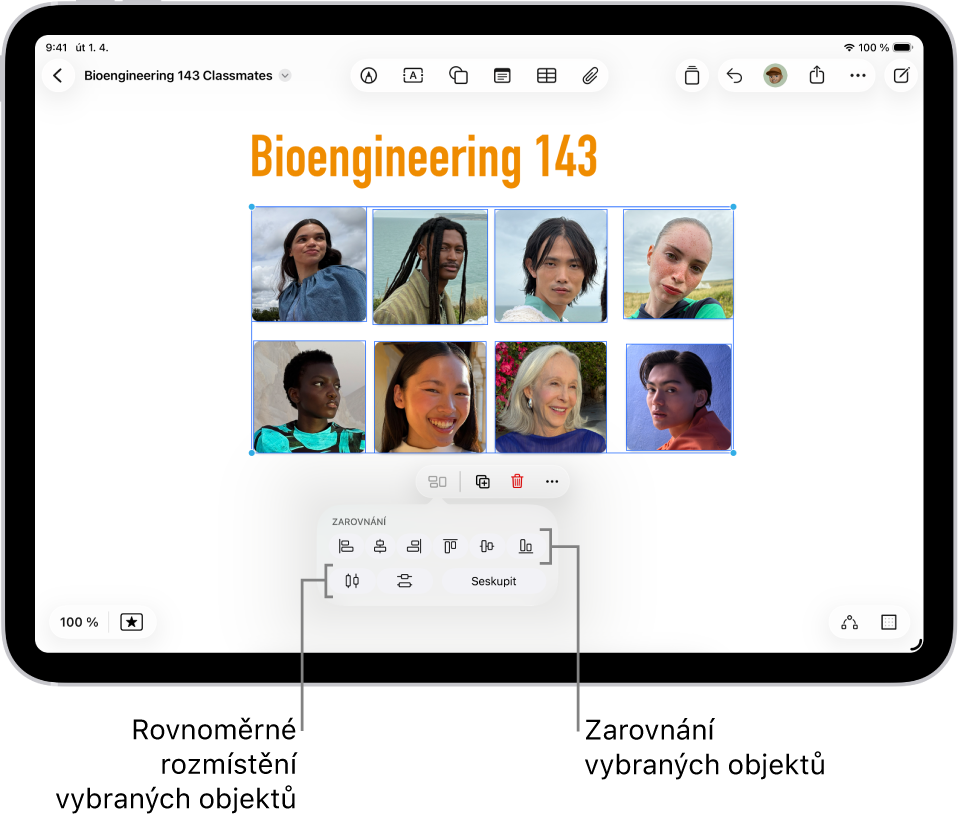 Tabule v aplikaci Freeform zaplněná mřížkou z fotek. Několik fotek je vybráno a zobrazují se pod nimi nástroje pro zarovnání a seskupení.