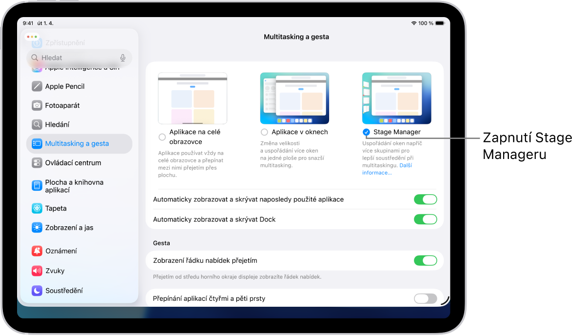 Aplikace Nastavení na iPadu se zobrazenými volbami pro multitaskíng a gesta , které můžete vybrat pro práci s více aplikacemi