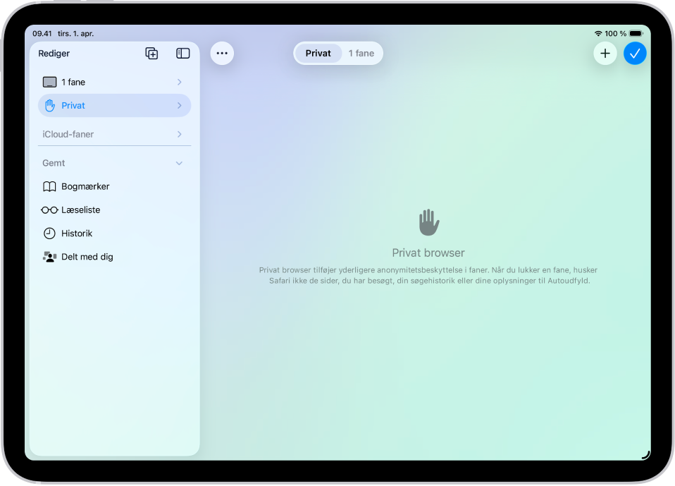 Indholdsoversigten til Safari i venstre side af Safari-vinduet er åben og Privat er valgt. I højre side er der en forklaring om, at Safari ikke husker dine browseraktiviteter.