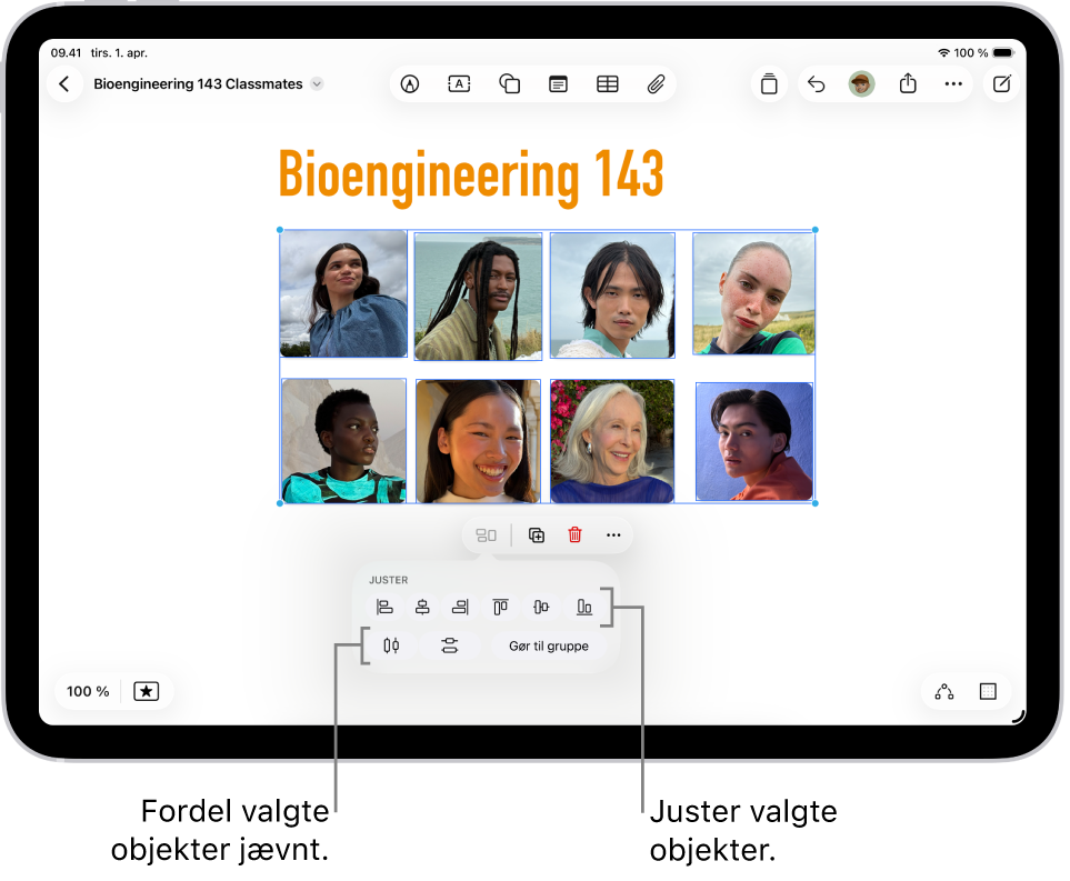 En Freeform-tavle fyldt med et net af fotos. Flere fotos er valgt, og værktøjerne til justering og gruppering vises under dem.