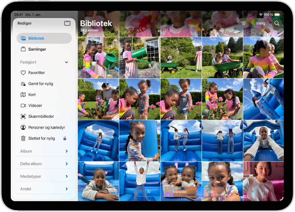 Appen Fotos er åben og fanen Bibliotek er valgt i indholdsoversigten.