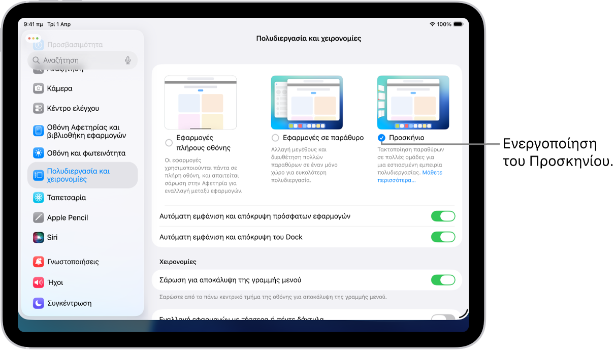 Η εφαρμογή «Ρυθμίσεις iPad», όπου φαίνονται οι επιλογές «Πολυδιεργασία και χειρονομίες» που μπορείτε να επιλέξετε για εργασία σε πολλές εφαρμογές.