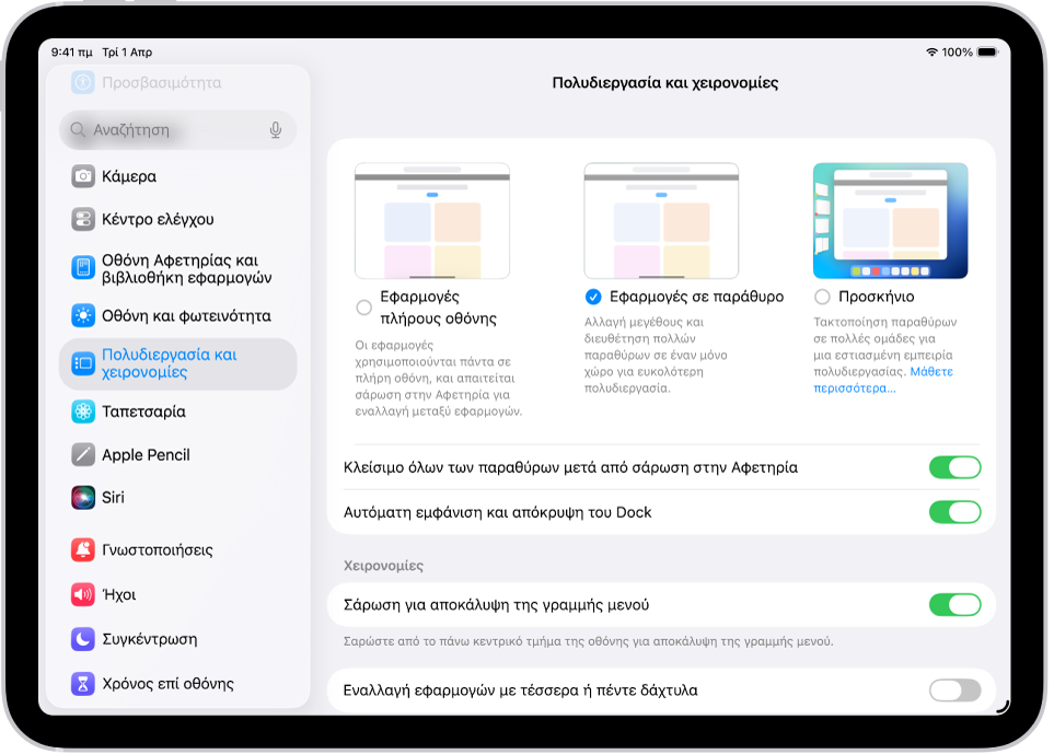 Ένα παράθυρο iPad στο οποίο φαίνονται οι ρυθμίσεις «Πολυδιεργασία και χειρονομίες».
