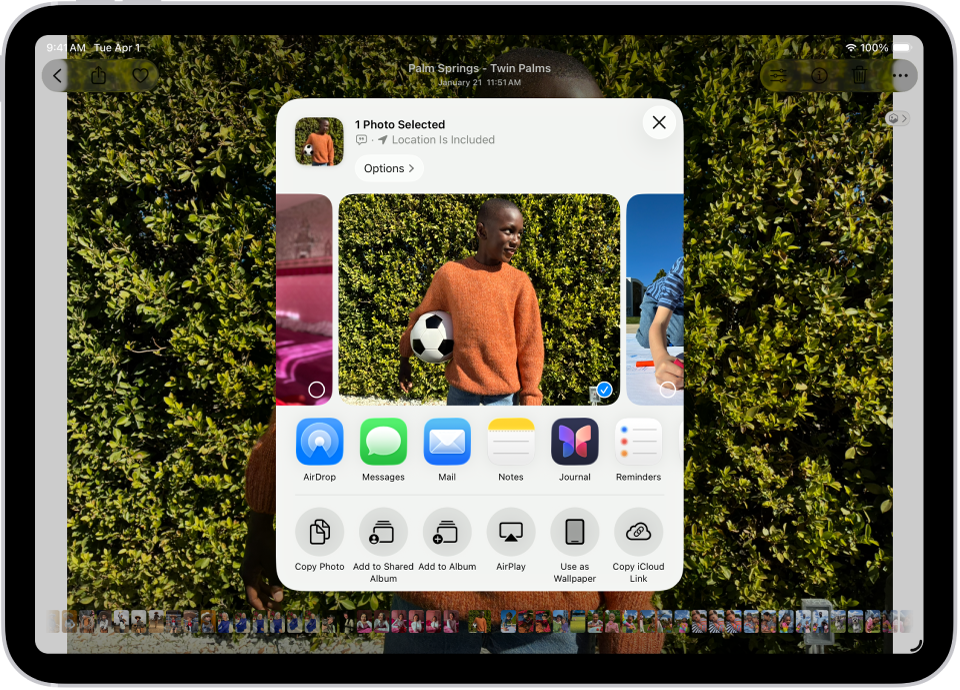 A photo is open in the Photos app and the share options are displayed in the middle of the screen.