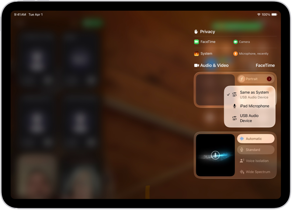 The controls for choosing an audio input source for a FaceTime call.