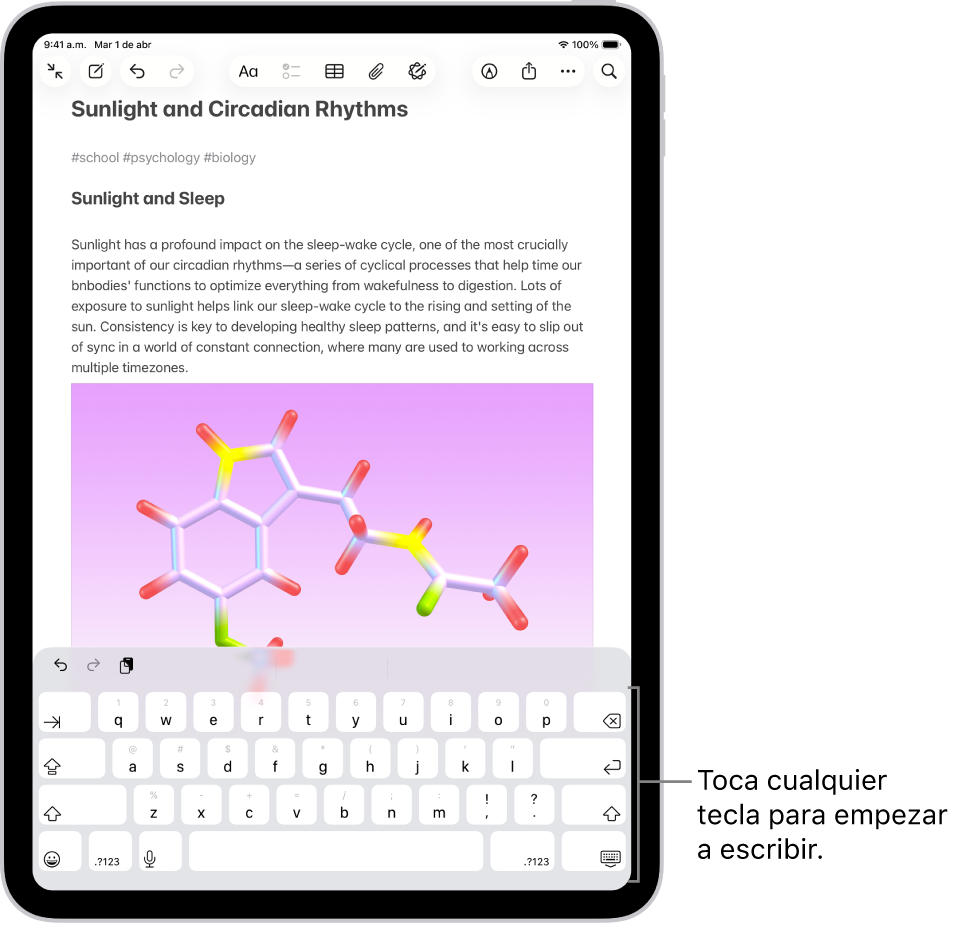 En la app Notas, hay un documento abierto. En teclado en pantalla está en la mitad inferior de la pantalla.