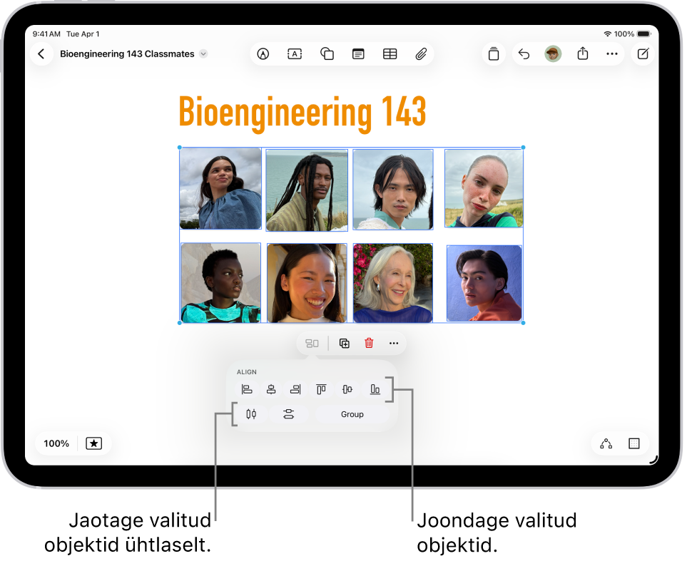 Freeformi tahvlil on fotode ruudustik. Valitud on mitu fotot ning nende all kuvatakse joonduse ja grupeerimise tööriistad.