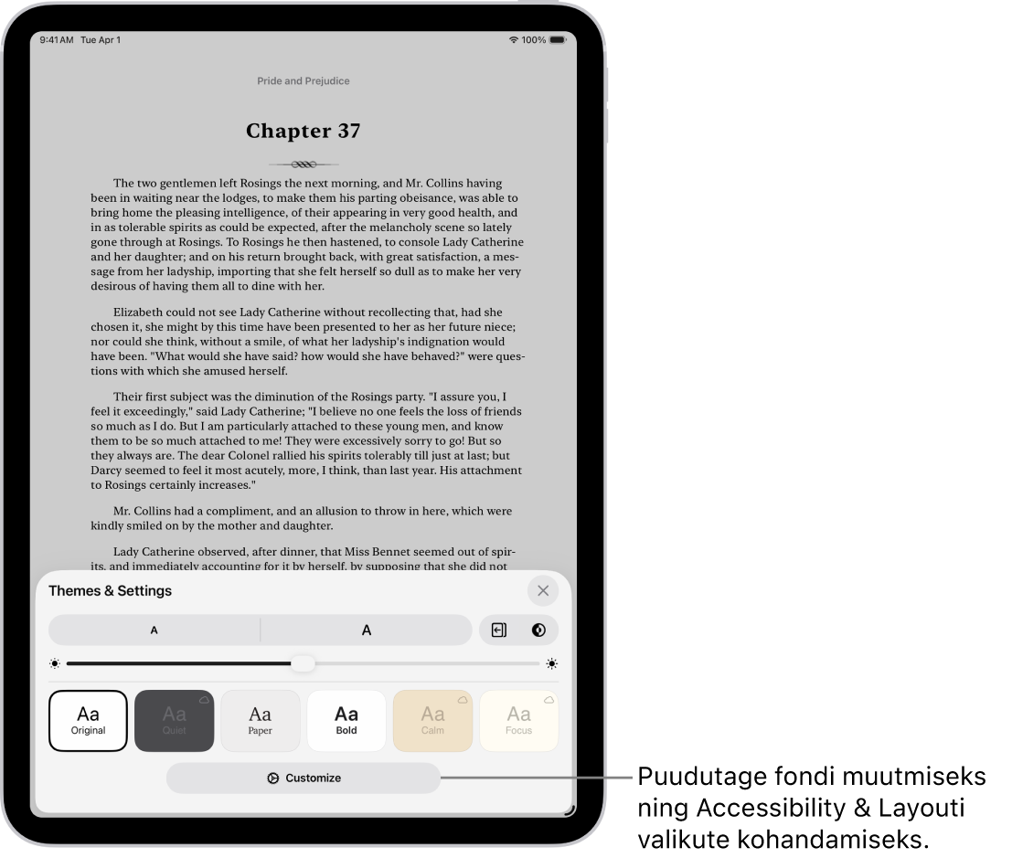 Rakenduses Books kuvatakse raamatu lehekülge. Valikutes Themes & Settings kuvatakse juhikuid fondi suuruse, kerimisvaate, lehekülje keeramise stiili, heleduse ja fondi stiilide valimiseks.
