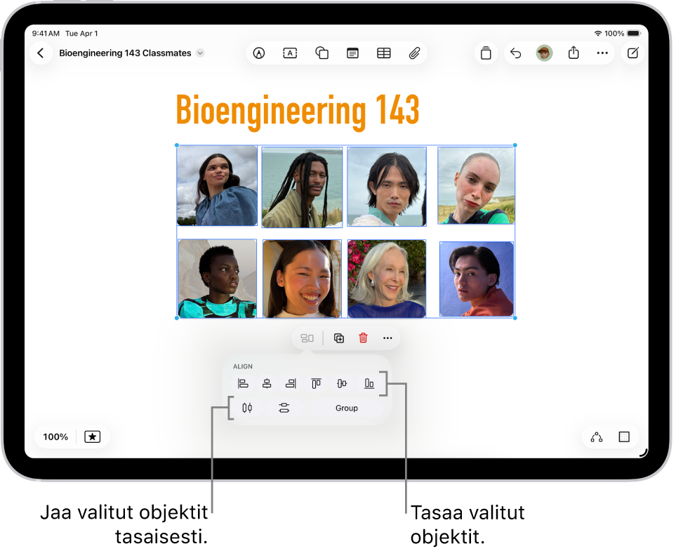 Freeform-taulu, jonka täyttää kuvaruudukko. Valittuna on useita valokuvia, ja tasaus‑ ja ryhmittelytyökalut näkyvät niiden alapuolella.