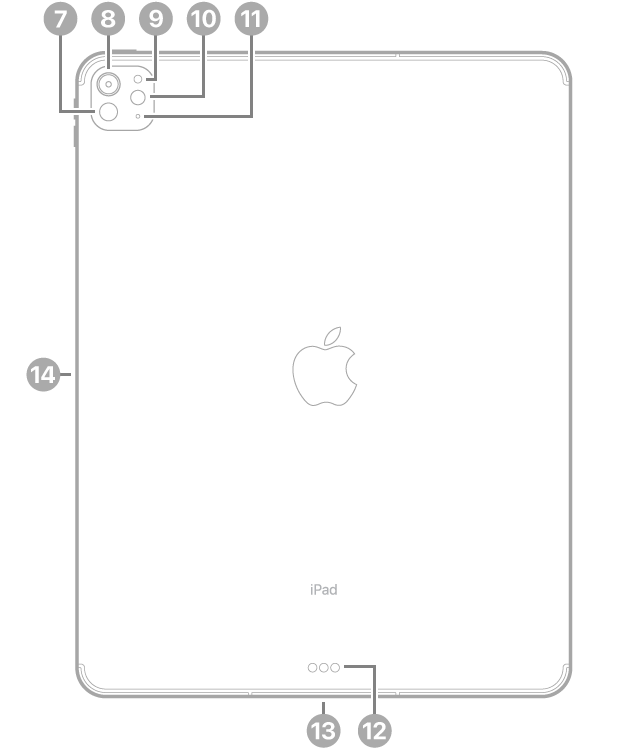LiDAR માટે કૉલઆઉટ સાથે iPad Proનો પાછળનો વ્યૂ, ઉપર ડાબી બાજુએ રીઅર કૅમેરા, રીઅર ઍમ્બિઅંટ લાઇટ સેંસર, ફ્લેશ અને માઇક્રોફોન, નીચે મધ્યમાં Smart Connector અને USB-C કનેક્ટર અને ડાબી બાજુએ Apple Pencil માટે મૅગ્નેટિક કનેક્ટર.