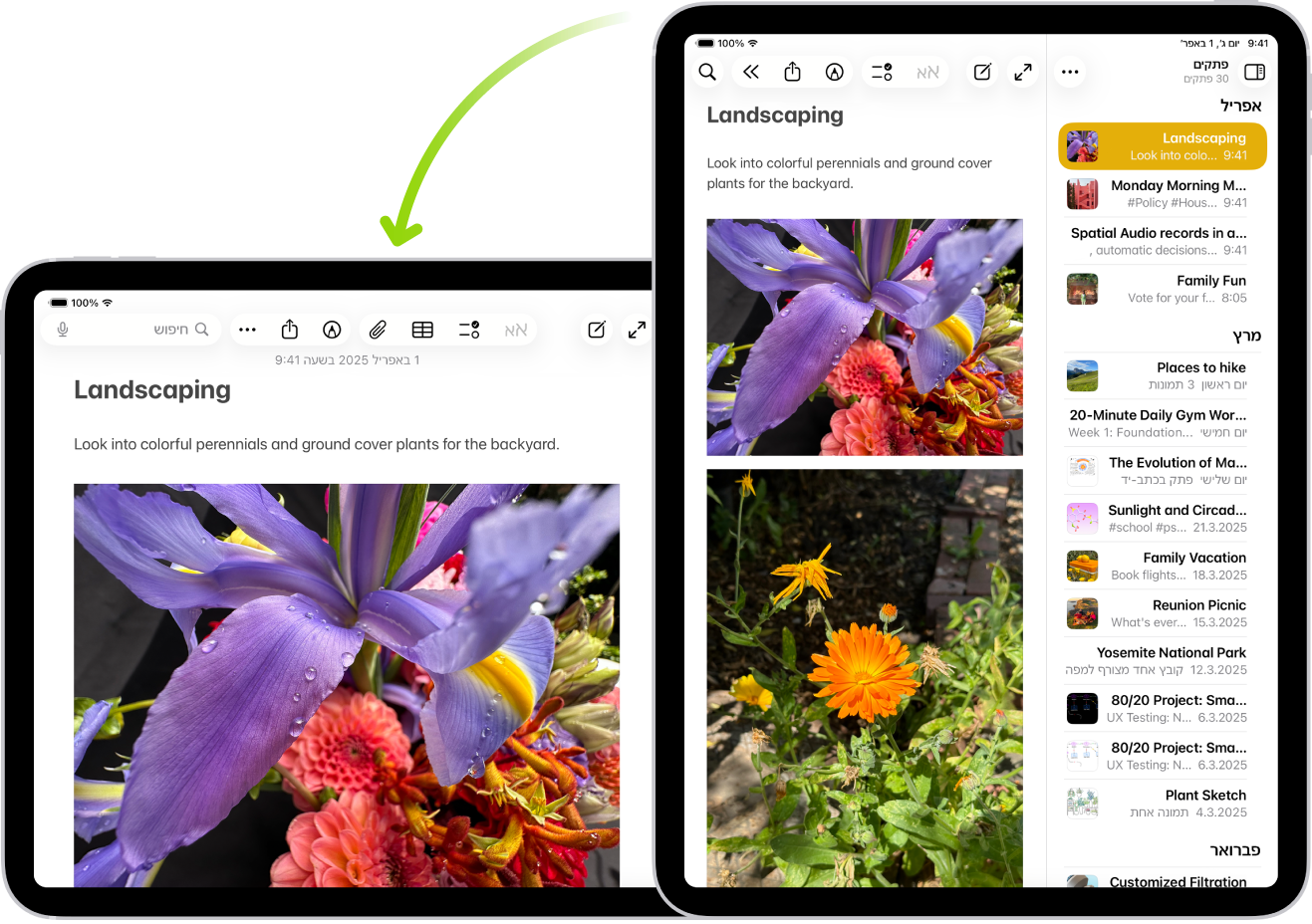 ברקע, ה‑iPad מציג מסך של ״פתקים״ בתצוגה לאורך; בחזית, ה‑iPad מסובב ומציג את המסך של ״פתקים״ בתצוגה לרוחב.