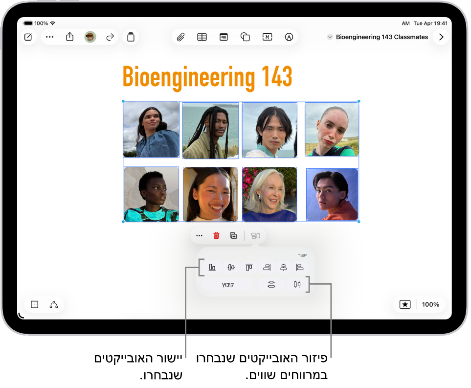 רשת של תמונות שתופס לוח Freeform שלם. נבחרות מספר תמונות, וכלי היישור והקיבוץ מופיעים מתחתיהן.