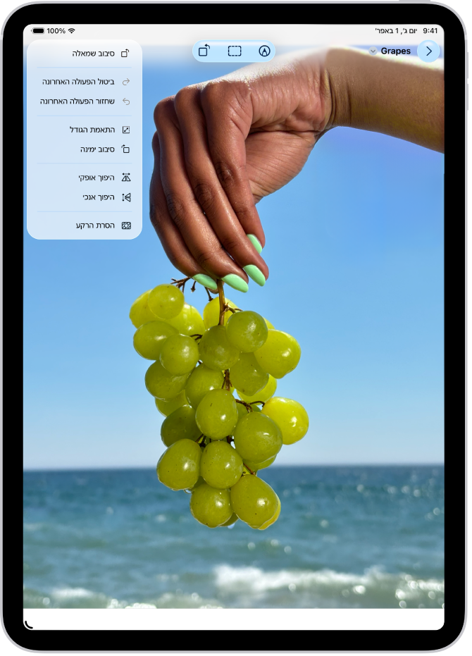 היישום ״תצוגה מקדימה״ מציג תמונה. יד המחזיקה אשכול ענבים נמצאת בחזית. השמיים והאוקיינוס נמצאים ברקע.