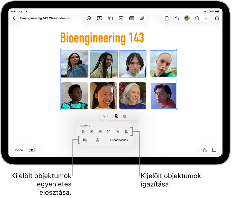 Egy Freeform-tábla, amelyen egy fotókból álló rácsos elrendezés látható. Számos különböző fotó van kijelölve, és alattuk az igazítási és csoportosítási eszközök jelennek meg.