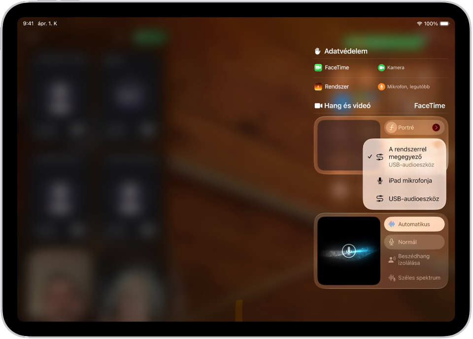A FaceTime-hívás hangbemeneti forrásának kiválasztására szolgáló vezérlők.